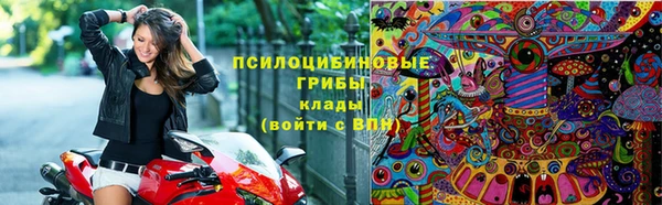 каннабис Новодвинск