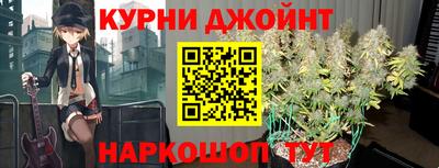 гидра Будённовск