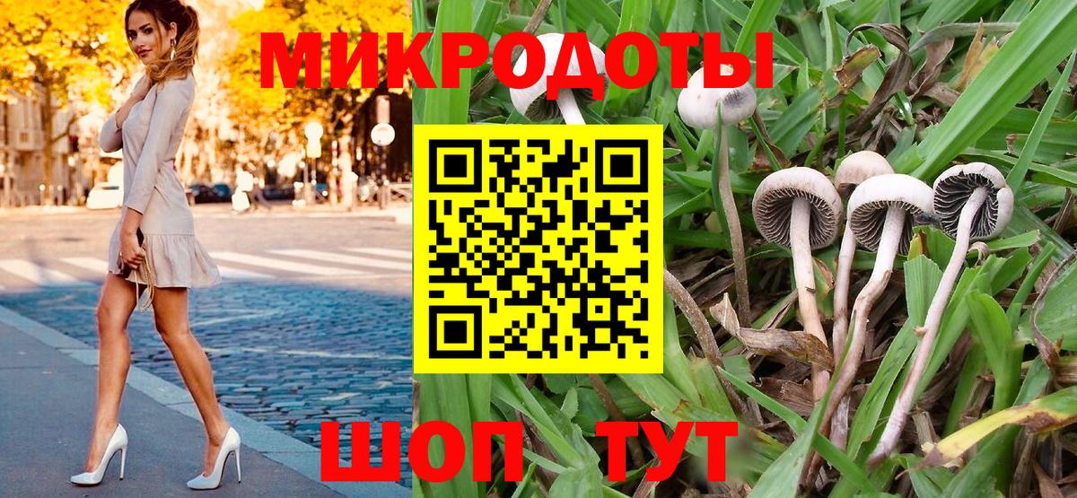 Псилоцибиновые грибы прущие грибы Петровск