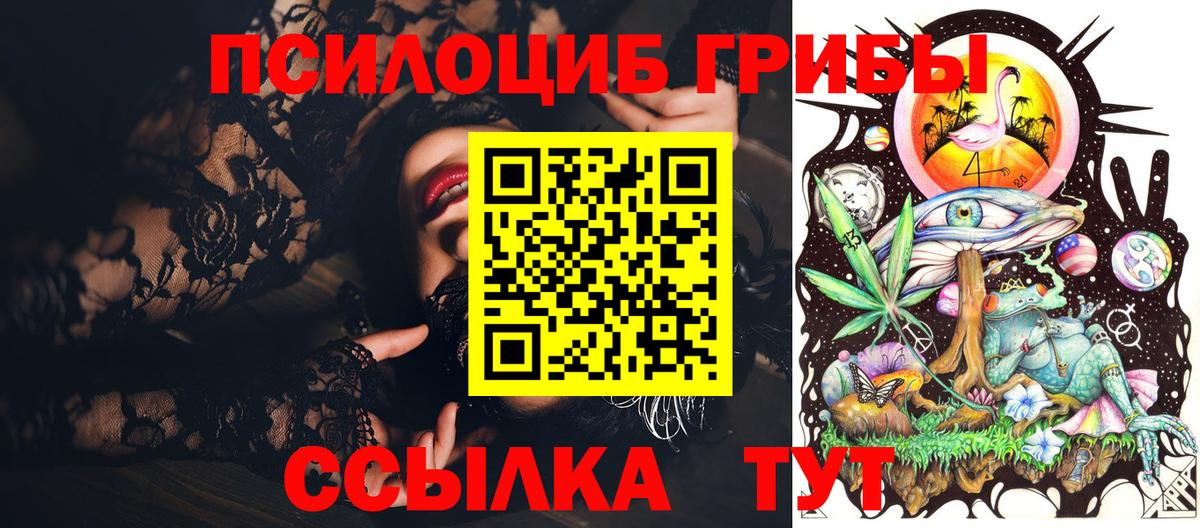 Галлюциногенные грибы мухоморы  Галлюциногенные грибы Psilocybine cubensis  закладки  Вход с VPN  Петровск 