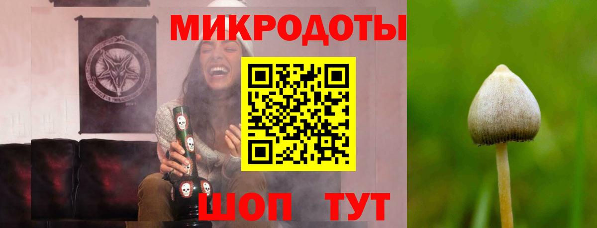 Псилоцибиновые грибы прущие грибы  купить  сайты  Петровск 